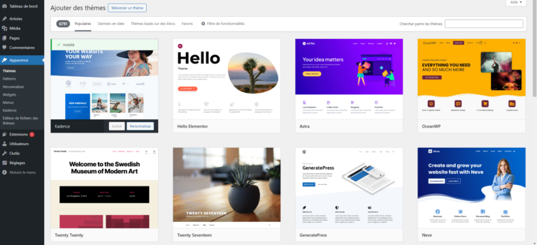 Thèmes WordPress accessibles par le tableau de bord